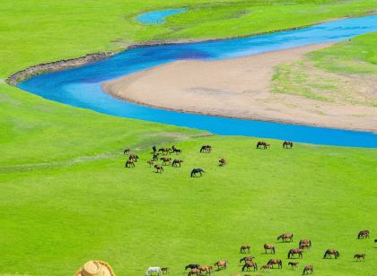 Toya Aither Campfire Night | Grassland Appointment | Yurt Nomadic Camp