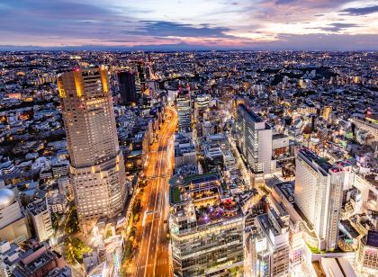 セルリアンタワー 東急ホテル