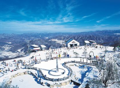휘닉스 호텔 평창