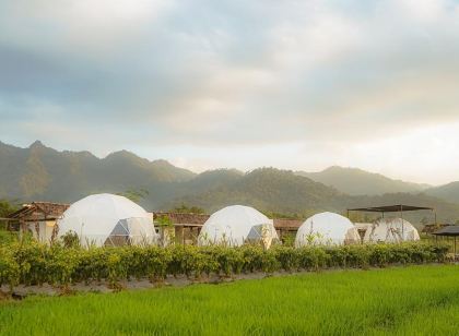 婆羅浮屠豪華帳篷飯店