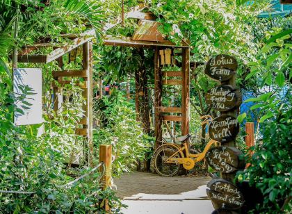 順化蓮花家庭旅館