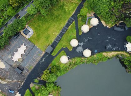 Half Day Away City Ancient Tree Mine Camping Hotel