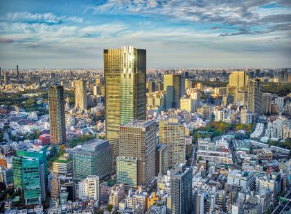 The Ritz-Carlton, Tokyo