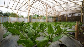oyo-homes-91006-eco-tourism-desa-cibodas-areng-5-syariah