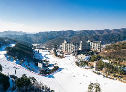 오크밸리 리조트 힐스 빌리지