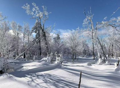 雪謠居·270°雪景度假設計師Villa美宿(中國雪穀風景區店)
