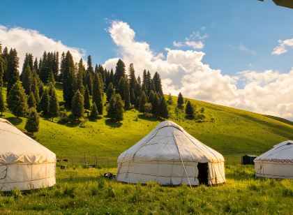 Sayram Lake Pastoral Stylish Homestay
