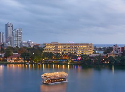 Cinnamon Lakeside