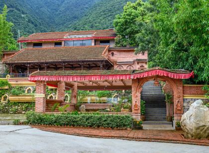 Jungle Mahal Wellness Resort
