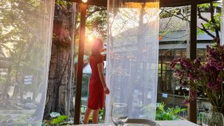 tree-scape-retreat-resort