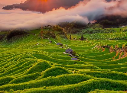 藝傑民宿(雲和梯田景區店)