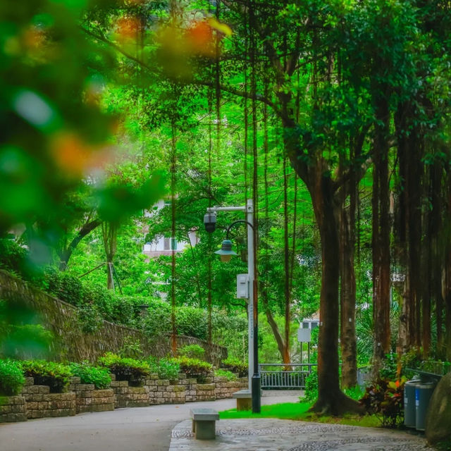 深圳|免費拍照打卡地撞見多巴胺藝術塔不知道你們有