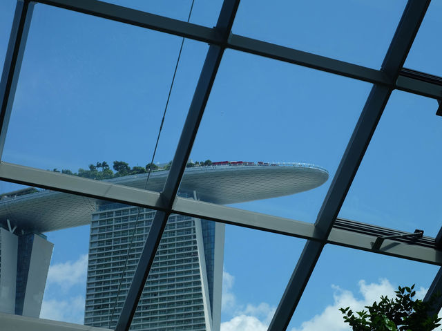 เที่ยว Garden by the bay ที่สิงคโปร์ 