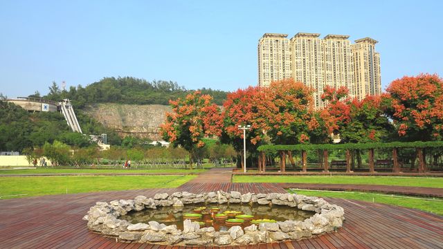 龍環葡韻濕地生態區是澳門氹仔龍環葡韻旁一片寧靜的人工濕地，與不遠處威尼斯人繁華對比強烈，這裡也是每年的冬季花卉節舉辦地，濕地空間開闊，長滿蘆葦等水生植物，不少魚兒棲息其中，吸引到雀鳥來此覓食，沿著濕地建有木棧道，沿途設有生物解說資料牌，供遊客漫步和近距離親近自然，認識濕地生物的多樣性，發現城市濕地之美，共同保護濕地生態