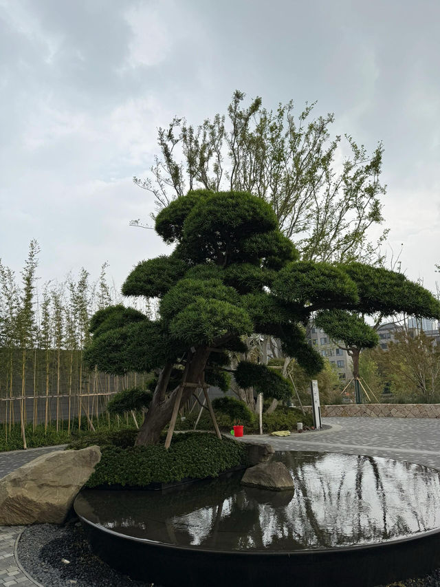 蘇州獅山悅榕莊。