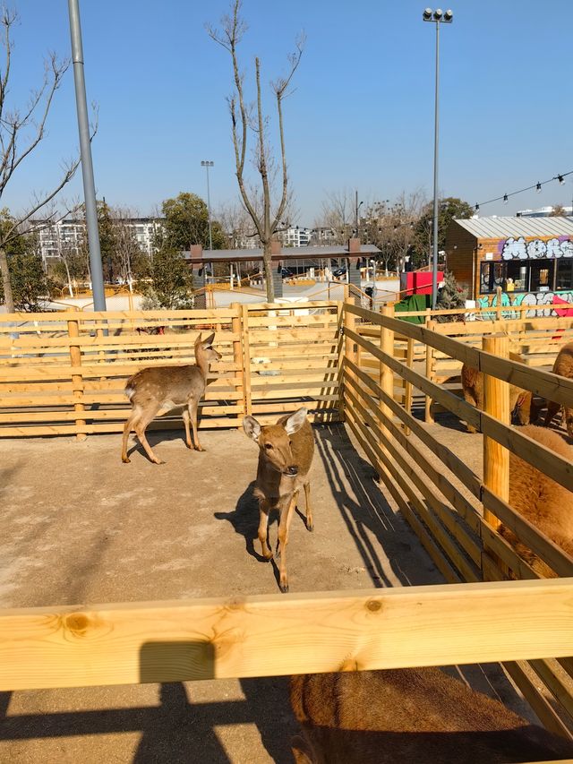 替你們試過了，工作日的蟠龍天地遛娃體驗很棒