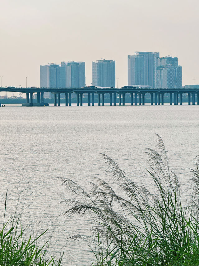 深圳前海石公園絕對不容錯過和奶龍合影