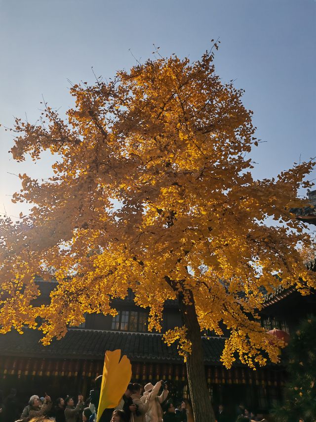 龍華寺太美了