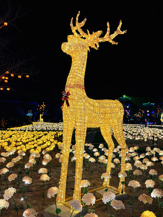 春節延慶世園公園看花燈