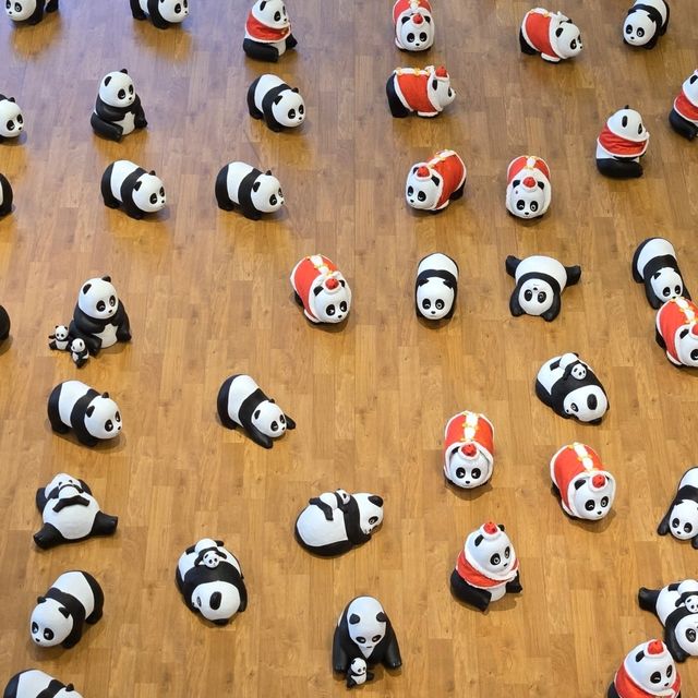 Panda Go! 香港遊 ： 熊貓登陸愉景新城