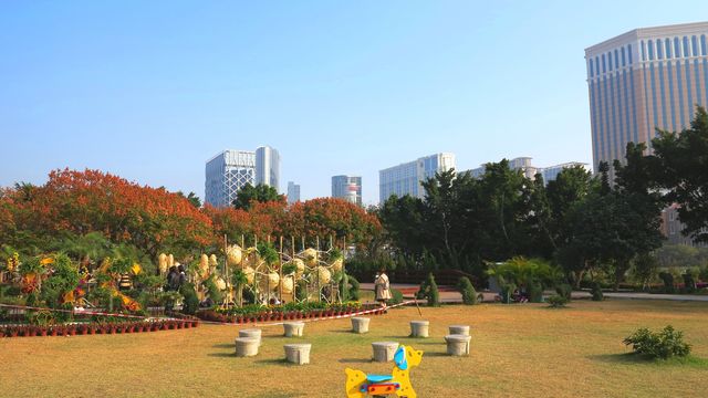 龍環葡韻濕地生態區是澳門氹仔龍環葡韻旁一片寧靜的人工濕地，與不遠處威尼斯人繁華對比強烈，這裡也是每年的冬季花卉節舉辦地，濕地空間開闊，長滿蘆葦等水生植物，不少魚兒棲息其中，吸引到雀鳥來此覓食，沿著濕地建有木棧道，沿途設有生物解說資料牌，供遊客漫步和近距離親近自然，認識濕地生物的多樣性，發現城市濕地之美，共同保護濕地生態