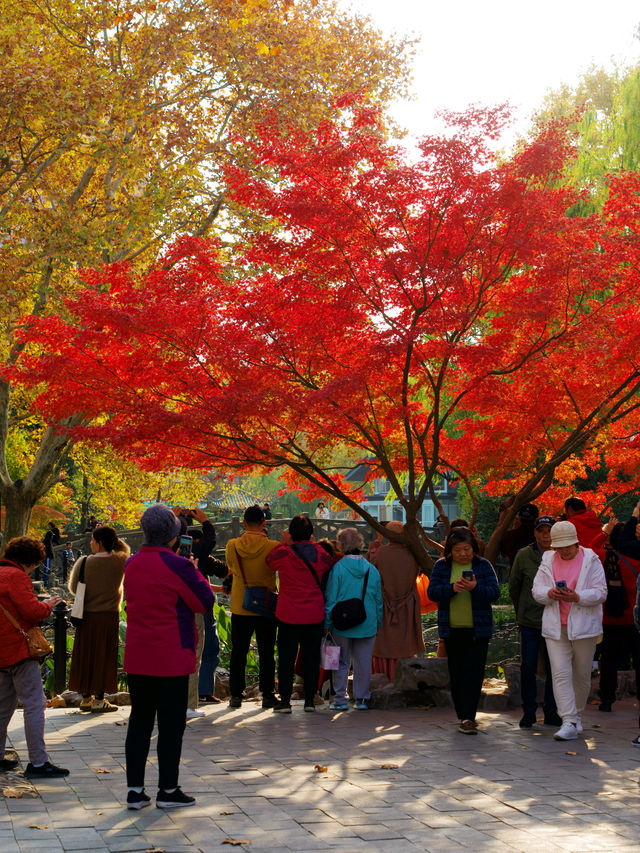 不是，上海的公園這麼卷的嗎！