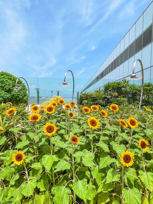 【シンガポール】美しい巨大噴水もある快適な都市空港