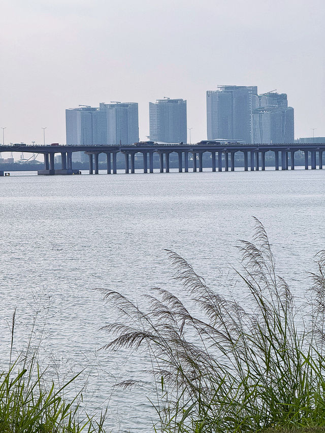 深圳前海石公園絕對不容錯過和奶龍合影