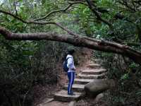 Conquer the Ridge: Hiking Hong Kong’s Stunning Dragon’s Back