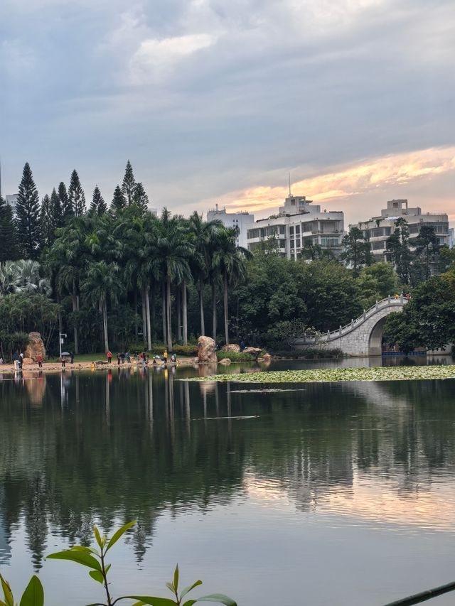 深圳灣公園