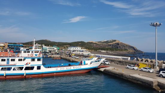 I visited Udo Island in spring