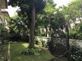 villa-p33-furama-da-nang