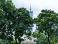 sheandhe-service-apartment-guangzhou-zhujiang-xin-an