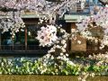 guest-house-yukari-kyoto
