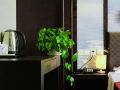 jiushang-business-hotel