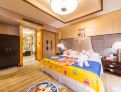 room overview picture