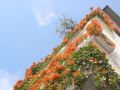 guli-xiaoshu-hotel