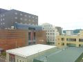 business-hotel-shimpaku