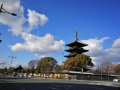 natsuarashi-toji