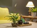 xinganian-hotel-hangzhou-wulin-square