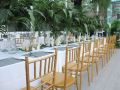 brigh-radiance-hotel