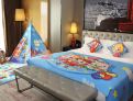room overview picture