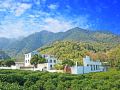 mingshuhangzhou-west-lake-tea-garden-resort-hotel