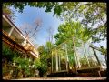 qingxi-wangyun-guesthouse
