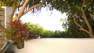 beachfront-inn