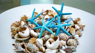 hamilton-island-holiday-rentals-lagoon-005