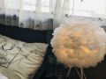 cindy-hostel
