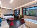 room overview picture