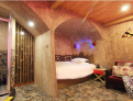 room overview picture