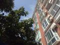 qingqing-garden-hostel
